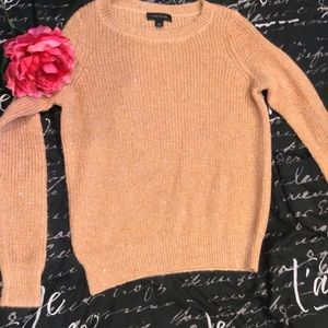 🎁SALE🎁 Ann Taylor Scattered Sequin Sweater